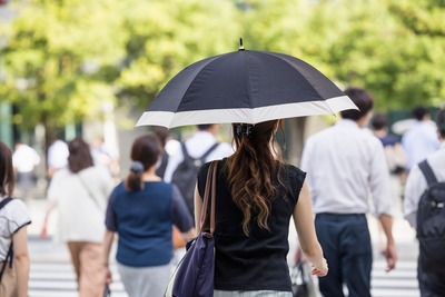 umbrella